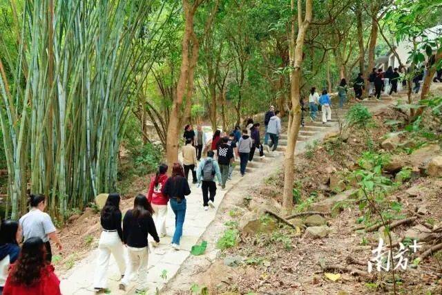 线来五桂山解锁“绿野仙踪”麻将胡了app一山一道一专(图1)